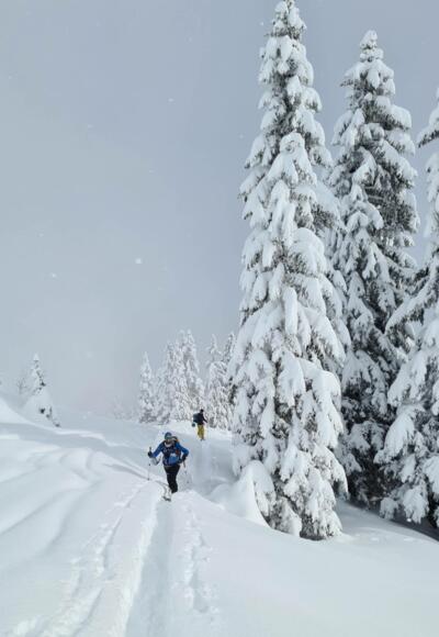 Im Aufstieg kurz vor dem Brendler Lug