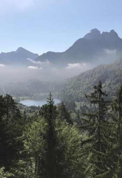 Kalvarienberg Gipfelblick Süd