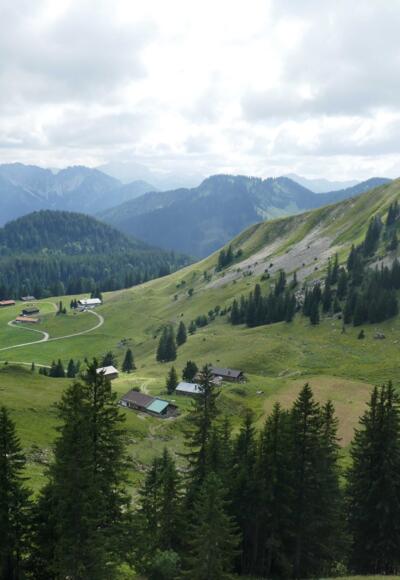 Blick zurück zu den Schönfeldalmen