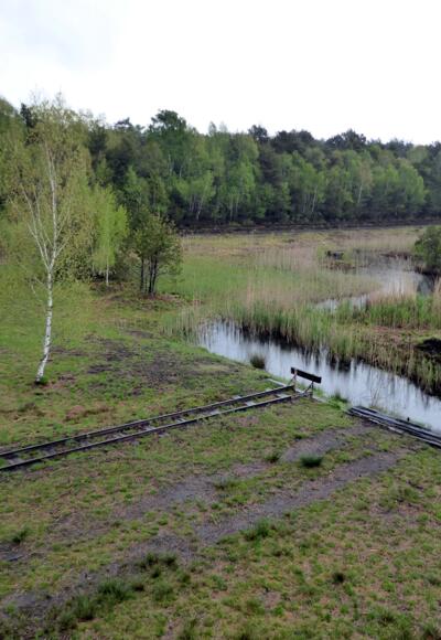Endstation Torfabbau. Nun kommt das Moos wieder in Form.