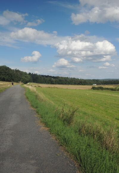 Rundweg um Grub am Forst