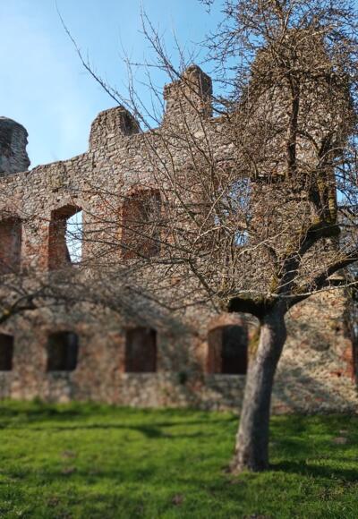 Burgruine Haibach
