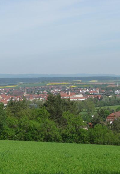 Blick auf Bad Neustadt
