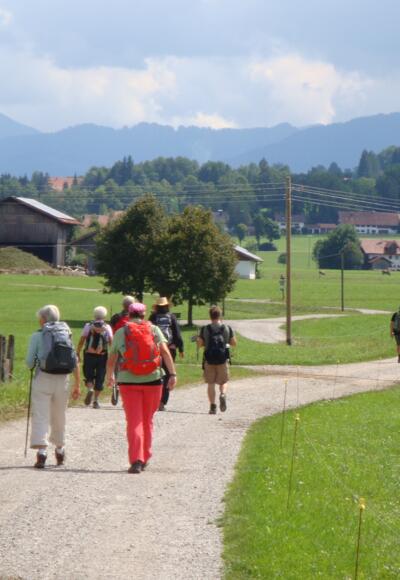 Es geht immer Richtung Alpen