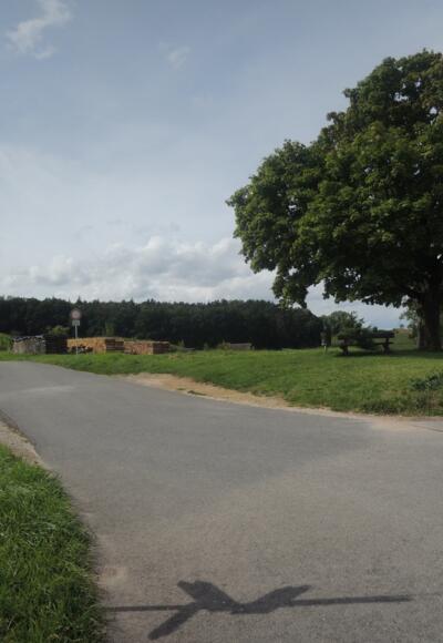 Rundweg Grub am Forst