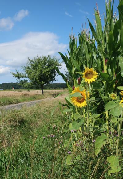 Kleine Runde auf dem Steinlegendenweg
