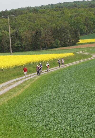 Weg nach Pfändhausen