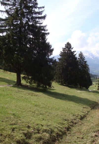 Landschaft zwischen Garmisch-Partenkirchen und Mittenwald