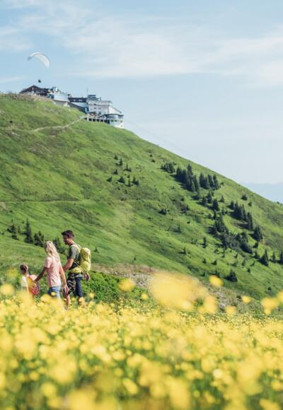 Bergsommer Schmittenhöhe