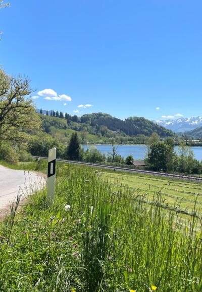 Anliegerstraße entlang des Alpsees