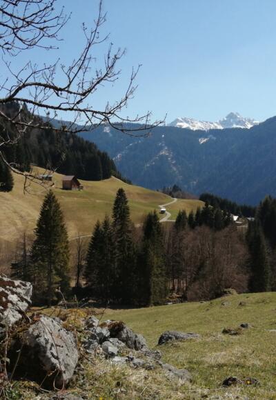 Ausblick beim Römerkeller in Dalaas