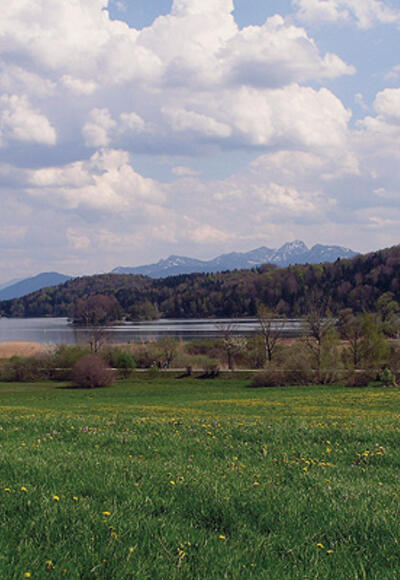 Seehamer See