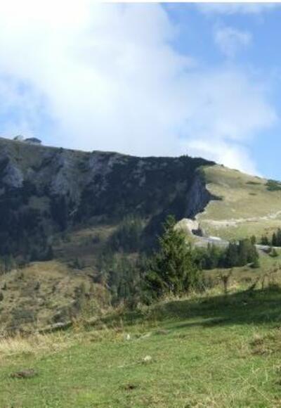 Blick zur Schafbergalm