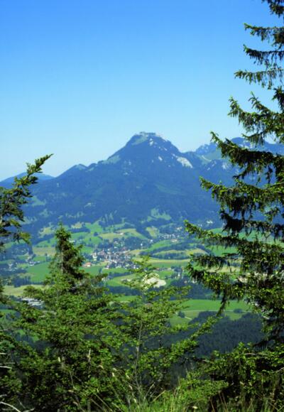 Blick von den Hängen des Aurachköpfls zum Breitenstein