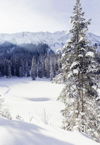 Winterlandschaft Melköde