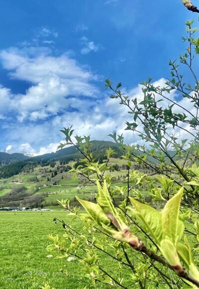 Schöner Ausblick auf Piesendorf
