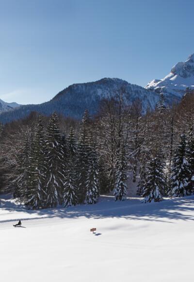 Naturrodelbahn Kranzberg