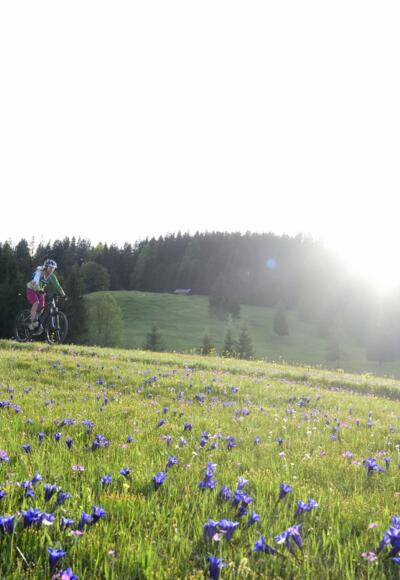 Biken im Frühling