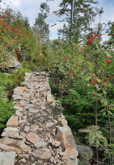 Wanderweg am Siebensteinkopf