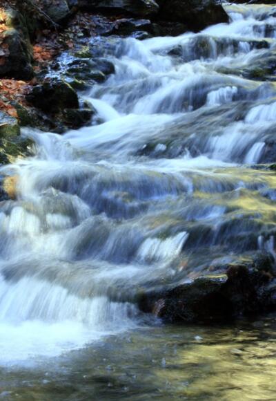 Flanitz bei Klingenbrunn-Bahnhof