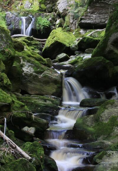 Große Ohe in der Steinklamm bei Spiegelau