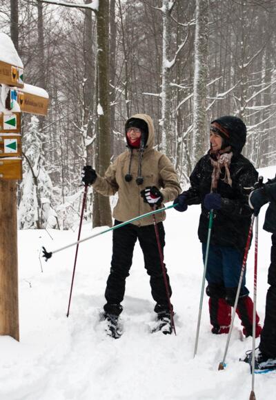 Mit Schneeschuhen im Winterwald