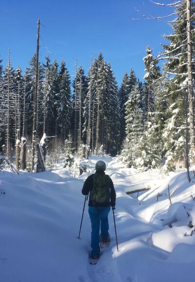 Auf dem Weg zur Alten Klause