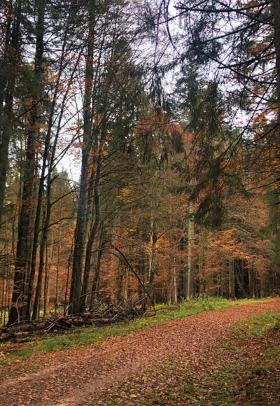 Wanderweg Kolkrabe