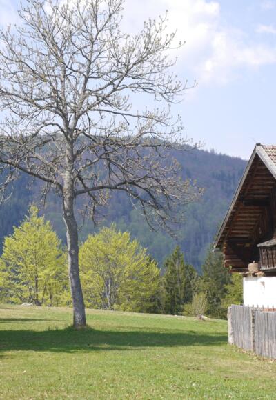 Freilichtmuseum Finsterau