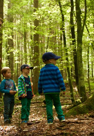 Unterwegs im Waldspielgelände