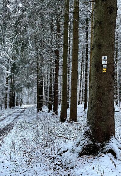 Wanderweg Feldhase im Winter
