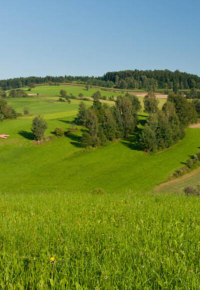 Nebelberger Rundweg
