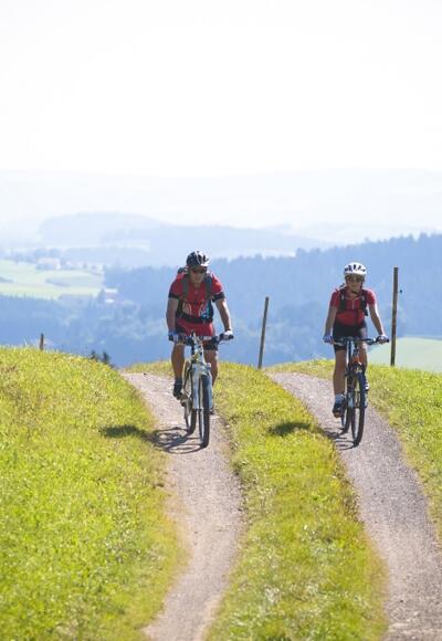 Mountainbiken im Muehlviertel