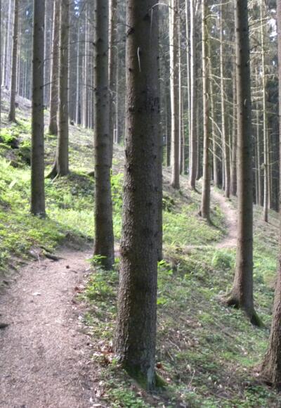 Besonderheiten entdecken