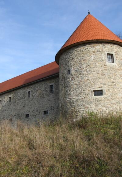 Burgweg auf die Burg Piberstein