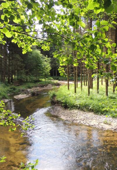 Wandern im Mühltal