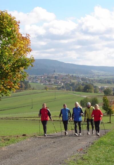 Laufen und Walken in Rohrbach-Berg