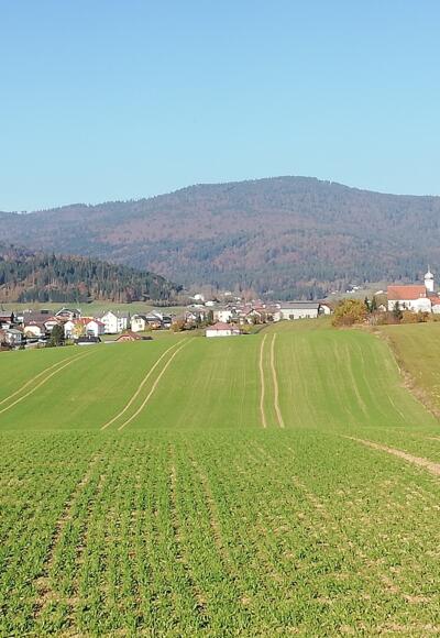 Blick auf den Böhmerwald
