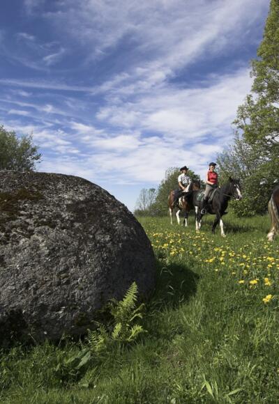 Reitweg Schwarzenberg - Wegscheid