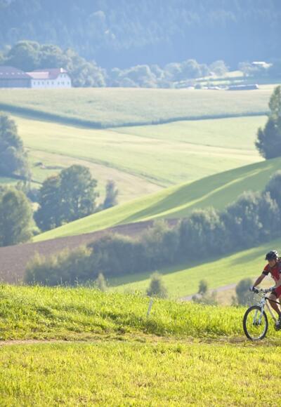 Mountainbiken in einer typisch ländlichen Idylle