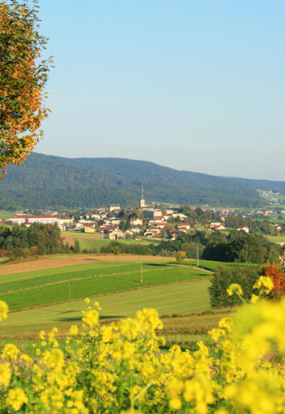 Torfaurunde mit Blick auf Ulrichsberg