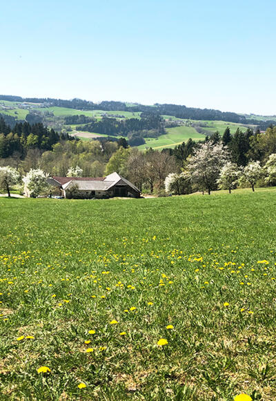 Ahorner Rundweg
