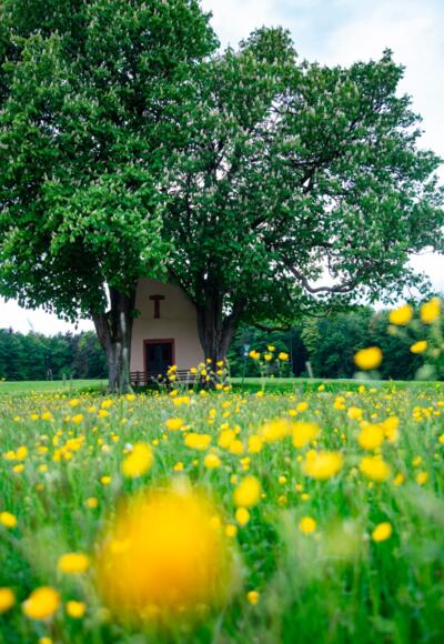 Kapelle "Herrnbild"
