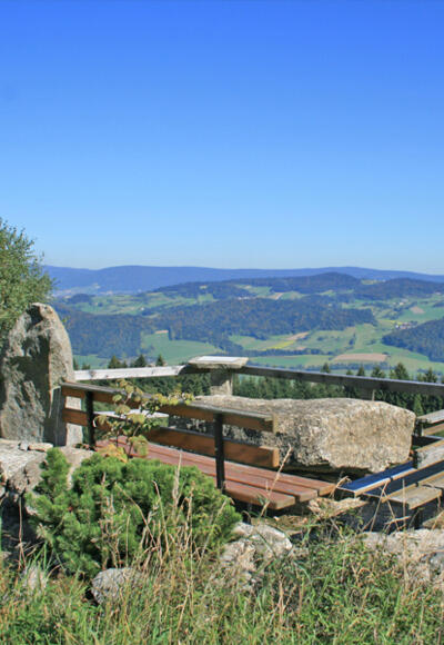 Hochwaldweg