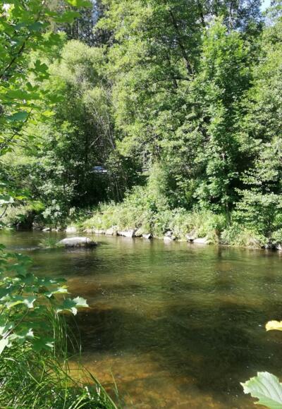 Grosse Muehl am Michlweg in Haslach an der Muehl