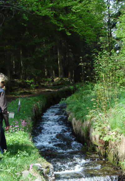 Kleine Runde am Schwarzenbergischen Schwemmkanal