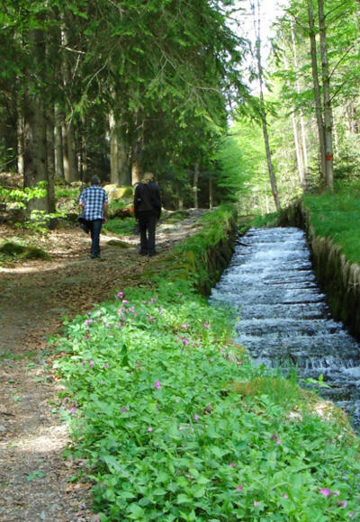 Steilstufenweg am Schwarzenbergischen Schwemmkanal