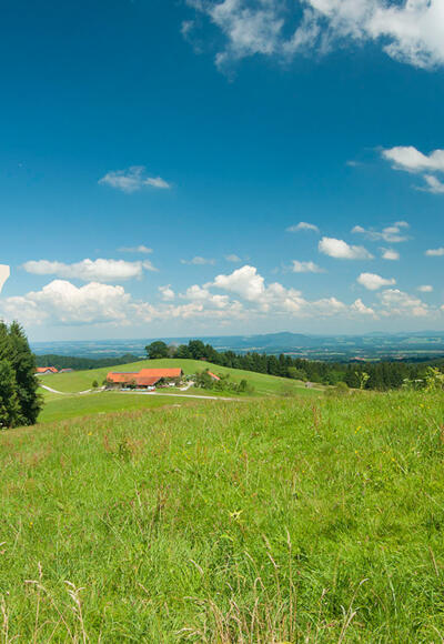 Schwarzenbergweg Teisendorf © RoHa Fotothek