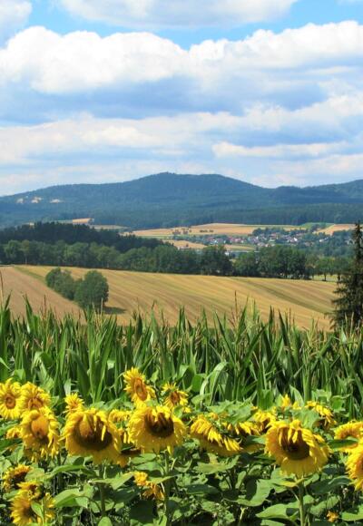 Blick von Manzenberg