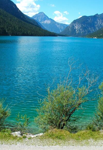 Plansee